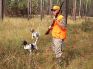 hunter-613455_960_720