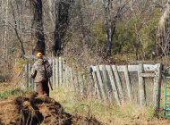 hunter-67002_960_720
