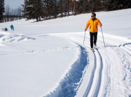 cross-country-skiing-624253_960_720